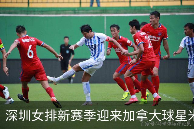 深圳女排新赛季迎来加拿大球星米特罗维奇加盟